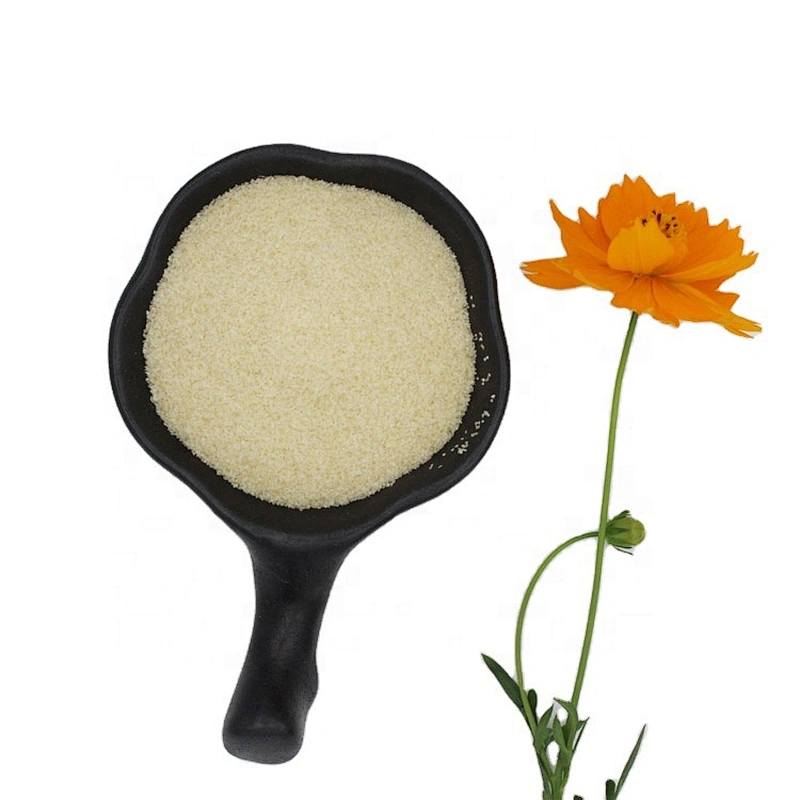 Best Quality Good Price Well Known Brand Granule Gelatin for Food Additive Wholesale Price Gelatin